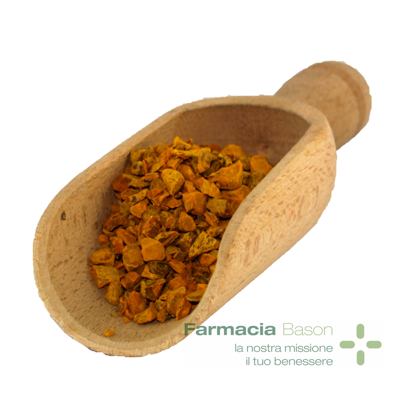 Curcuma TT fcia bason800